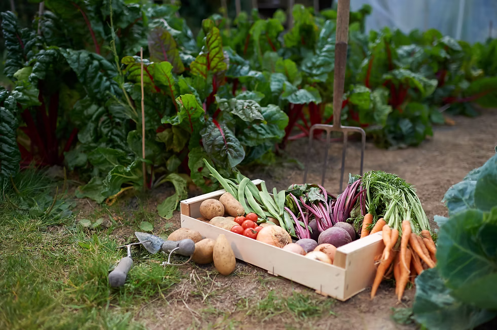 Home Grown Vegetables